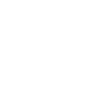 TikTok Icon